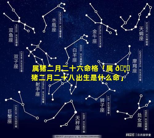 属猪二月二十六命格「属 🦈 猪二月二十八出生是什么命」